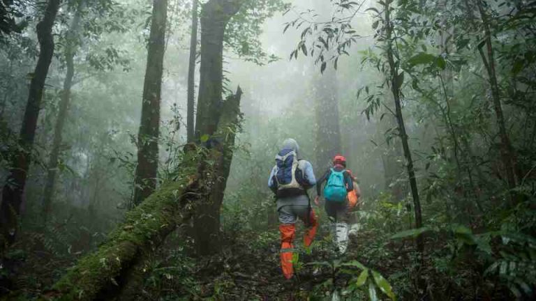 Book a yellow fever travel vaccine near me.