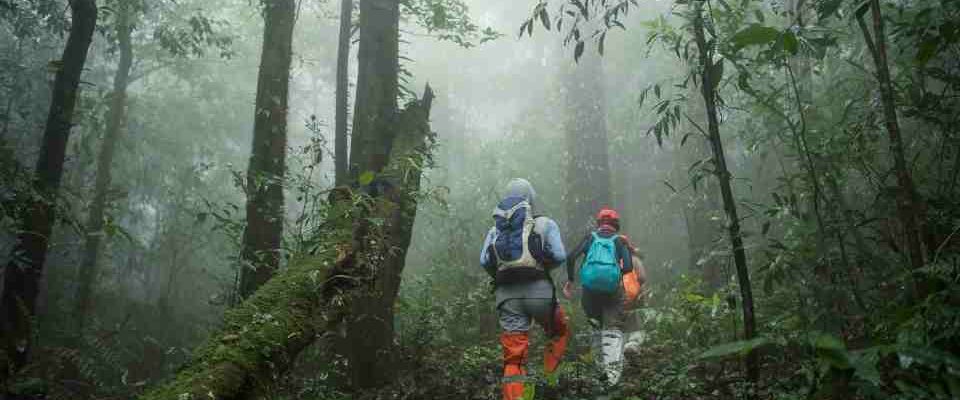 Book a yellow fever travel vaccine near me.